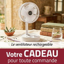 Cassoulet